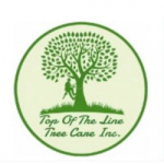 Top Of The Line Tree Care Inc