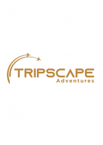 Tripscape Tourism UAE Tours and Desert Safari
