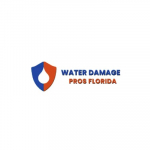 Water Damage Pros FL
