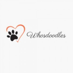 Whos Doodles